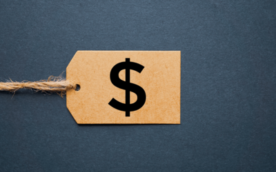 Crafting Effective Pricing Strategies for Software Products